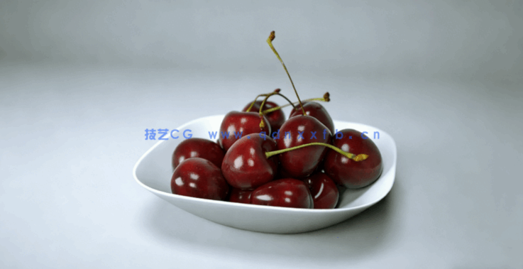 樱桃水果模型 Cherries Fruit model(图3)
