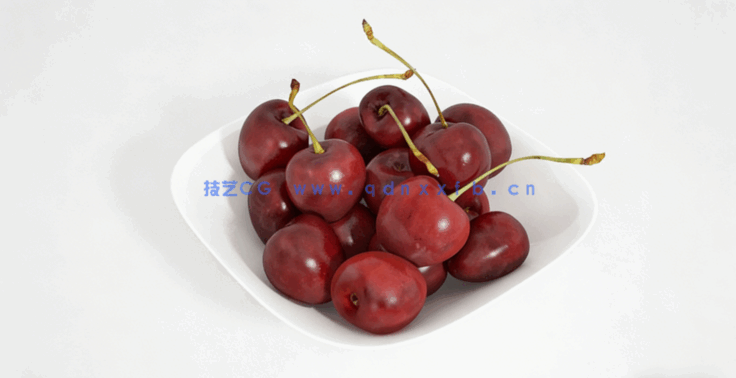 樱桃水果模型 Cherries Fruit model(图4)