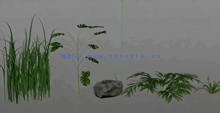 C4D丛林植物石头岩石模型(图2)
