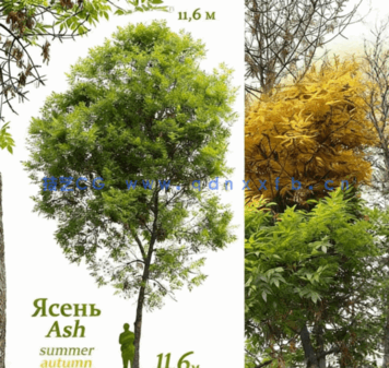 精品家具装饰等3D模型合集2025年第一季(图2)