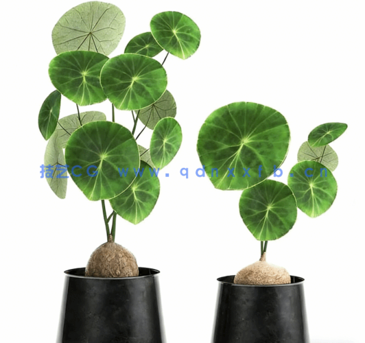 精品家具装饰等3D模型合集2025年第一季(图5)