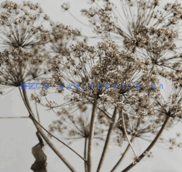 [家具模型] 乡村风格装饰品套装长凳花瓶粘土器皿布艺等3D模型(图5)