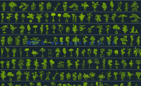 2026年最新超全绿植CAD盆栽CAD植物立面CAD绿植装饰摆件CAD植物CAD盆景CAD花卉CAD图库(图5)