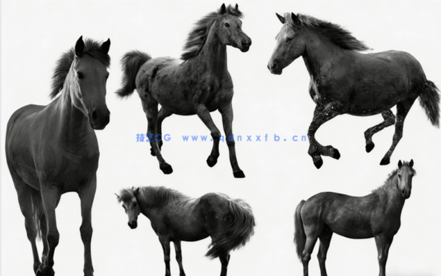 不同种类黑骏马科幻场景图层叠加PSD模板(图2)