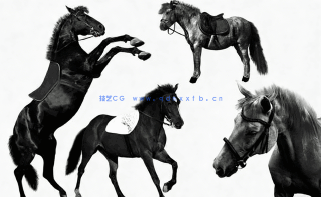 不同种类黑骏马科幻场景图层叠加PSD模板(图4)