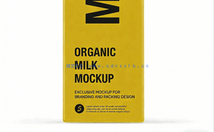 纸箱纸盒外包装模型PSD模板合集(图3)