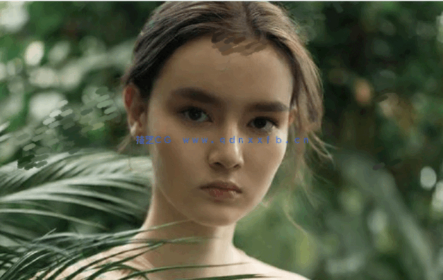 抽象马赛克模糊故障PSD模板合集(图2)