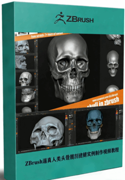  ZBrush逼真人类头骨雕刻建模实例制作视频教程 (图1)
