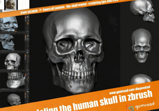  ZBrush逼真人类头骨雕刻建模实例制作视频教程 (图3)