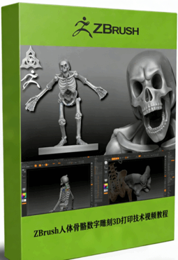 ZBrush人体骨骼数字雕刻3D打印技术视频教程 (图1)