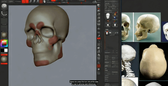 ZBrush男性头像半身骨骼数字雕刻训练视频教程(图2)