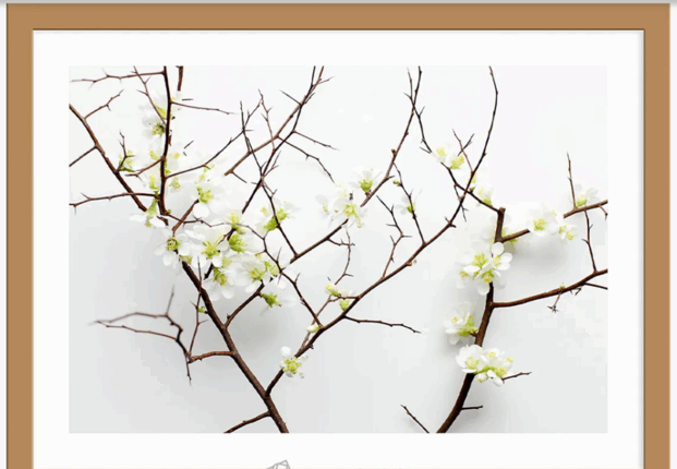 艺术挂画装饰画图库 PNG格式免抠图软装素材(图5)