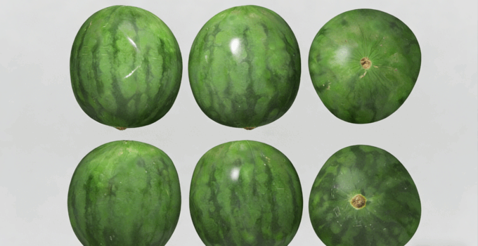 西瓜水果模型 Water Melon Fruit model (图2)