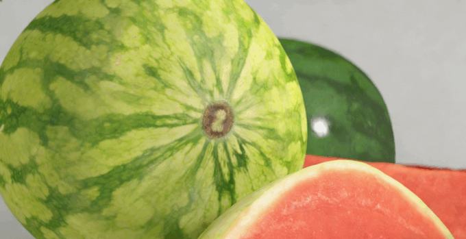 西瓜水果模型 Water Melon Fruit model (图3)