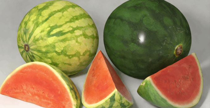 西瓜水果模型 Water Melon Fruit model (图4)