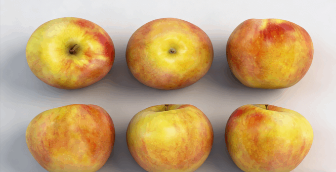 苹果水果模型 Apples Fruit model(图3)