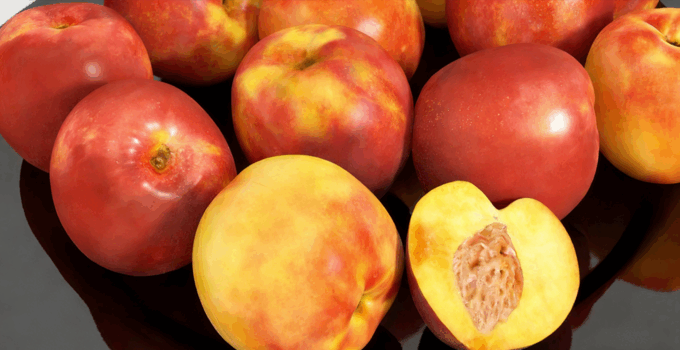 油桃水果模型 Nectarines Fruit model(图1)