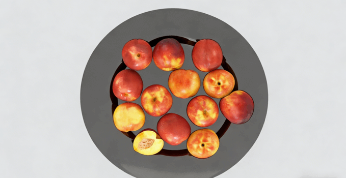 油桃水果模型 Nectarines Fruit model(图4)