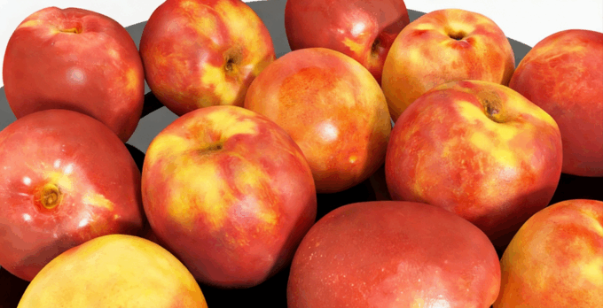 油桃水果模型 Nectarines Fruit model(图5)