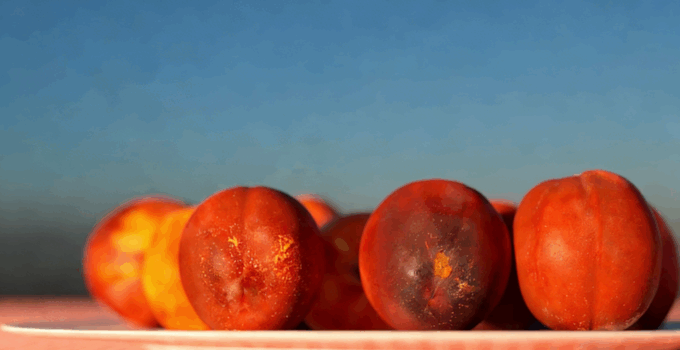 25种高度逼真详细的水果模型合集(图4)