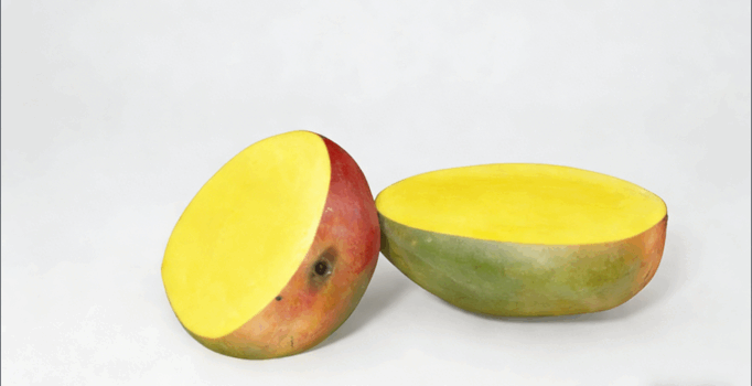 芒果水果模型 Mangos Fruit model(图2)