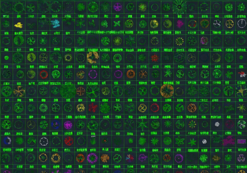 2026年最新超全植物CAD绿植CAD树木CAD乔木CAD灌木CAD植物平面CAD植物立面CAD植物图例(图4)