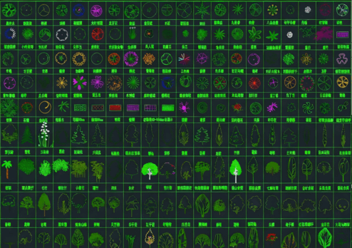 2026年最新超全植物CAD绿植CAD树木CAD乔木CAD灌木CAD植物平面CAD植物立面CAD植物图例(图5)