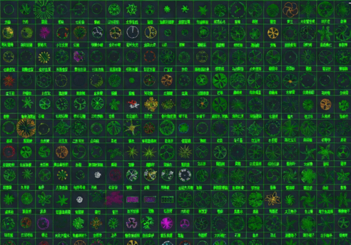 2026年最新超全植物CAD绿植CAD树木CAD乔木CAD灌木CAD植物平面CAD植物立面CAD植物图例(图2)