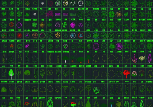 2026年最新超全植物CAD绿植CAD树木CAD乔木CAD灌木CAD植物平面CAD植物立面CAD植物图例(图3)