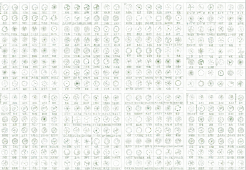 2026年最新超全植物CAD树木CAD植物图例CAD植物平面CAD植物立面CAD景观植物CAD图库(图6)