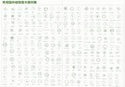 2026年最新超全植物CAD树木CAD植物图例CAD植物平面CAD植物立面CAD景观植物CAD图库(图5)