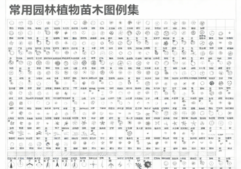 2026年最新超全植物CAD树木CAD植物图例CAD植物平面CAD植物立面CAD景观植物CAD图库(图3)