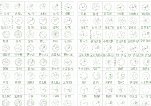 2026年最新超全植物CAD树木CAD植物图例CAD植物平面CAD植物立面CAD景观植物CAD图库(图4)