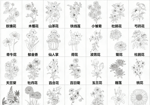 2026年最新超全花草花卉CAD图库CAD花草CAD绿植CAD植物CAD月季花CAD玫瑰花CAD菊花CAD(图5)