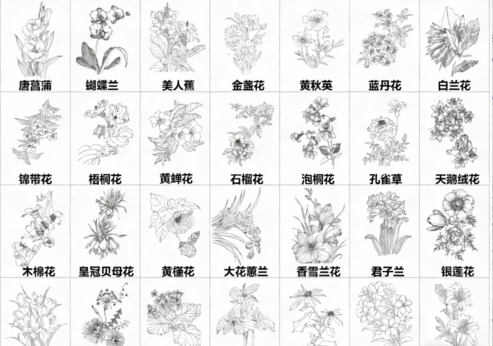 2026年最新超全花草花卉CAD图库CAD花草CAD绿植CAD植物CAD月季花CAD玫瑰花CAD菊花CAD(图6)