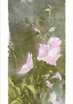 30组水彩画数字绘画自定义PS笔刷合集(图3)