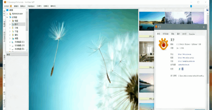免费看图软件XnView MP 1.7.2绿色版(图1)