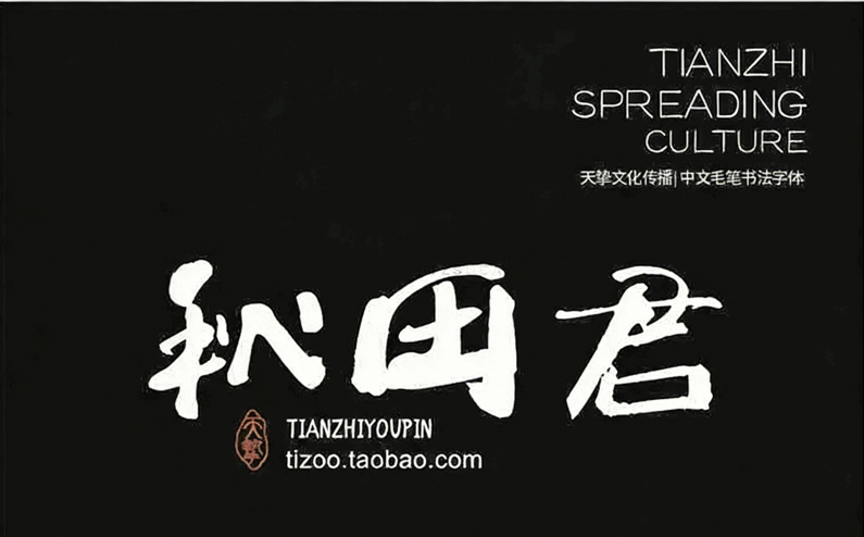 541款古风书法国潮古韵毛笔手写艺术设计字体包(图7)