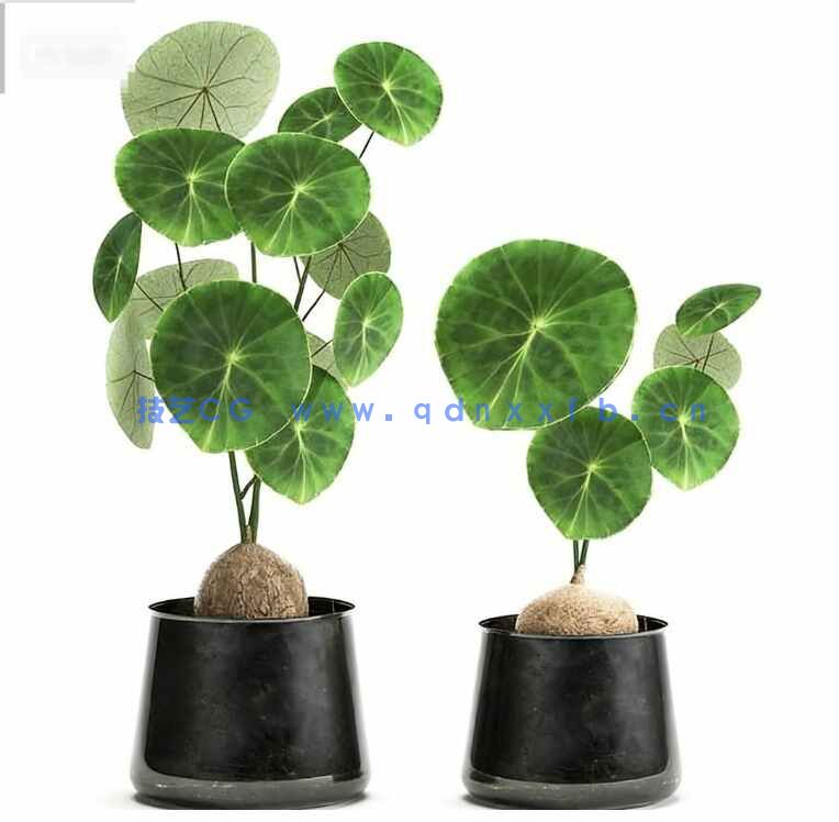 [家具模型] 精品家具装饰等3D模型合集2025年第一季(图3)