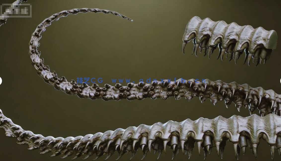 [独立角色] 40组怪物章鱼异形生物触手Zbursh IMM笔刷和3D模型合集 附使用教程(图5)