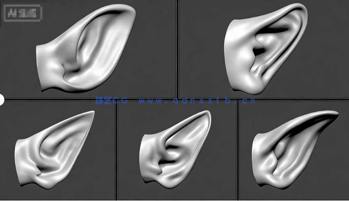 [独立角色] 50组人形生物耳朵Zbrush IMM笔刷与3D模型合集(图6)