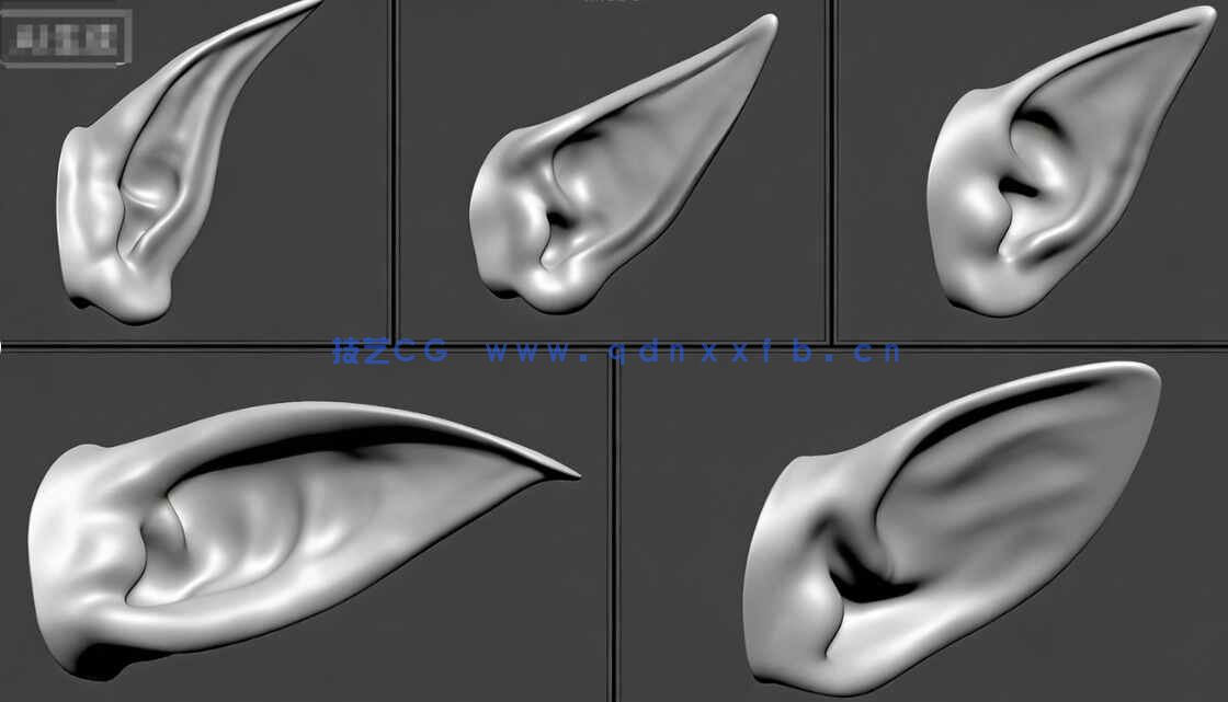 [独立角色] 50组人形生物耳朵Zbrush IMM笔刷与3D模型合集(图5)