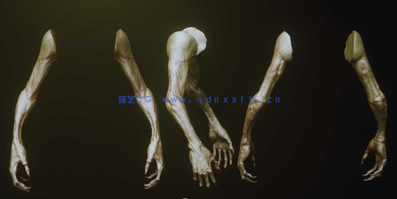 [独立角色] 33组怪物怪兽僵尸生物手臂Zbursh IMM笔刷和3D模型合集 附使用教程(图3)