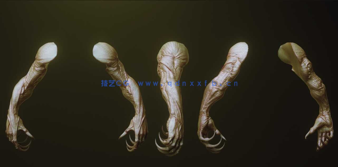 [独立角色] 33组怪物怪兽僵尸生物手臂Zbursh IMM笔刷和3D模型合集 附使用教程(图4)
