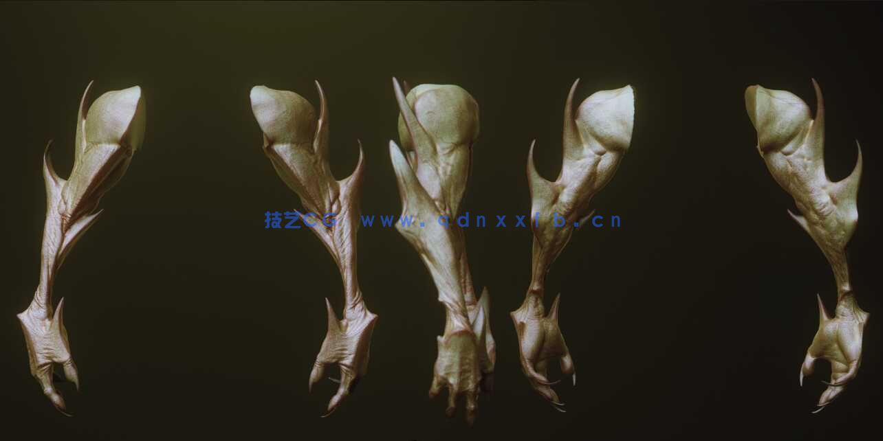 [独立角色] 33组怪物怪兽僵尸生物手臂Zbursh IMM笔刷和3D模型合集 附使用教程(图5)