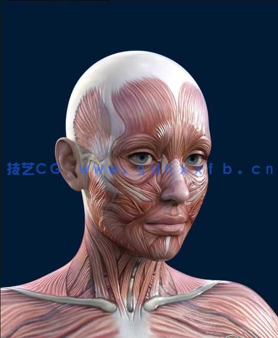 [独立角色] Daz3D各类角色3D模型合集2023年度4月第四季(图4)