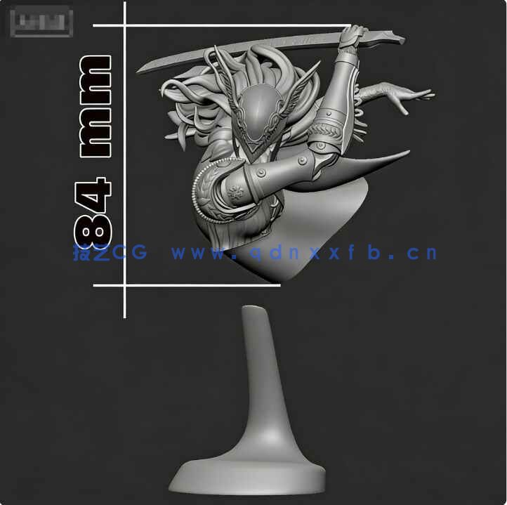 [独立角色] 玛莲妮亚战斗姿势艾尔登法环游戏角色雕塑3D打印模型(图6)