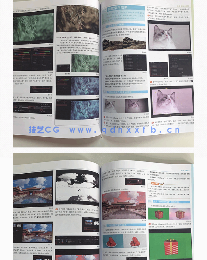 After Effects 2022完全自学教程(图11)