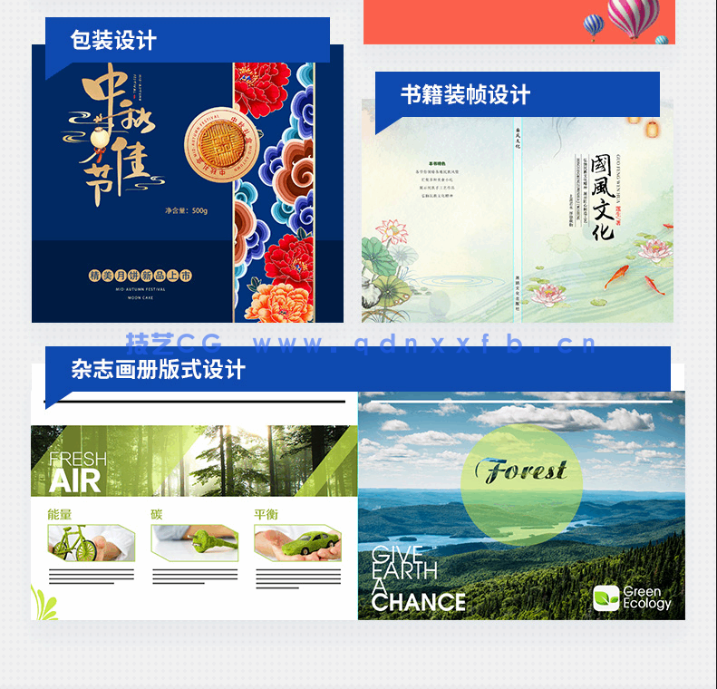 中文版Photoshop平面设计入门教程2020版(图6)