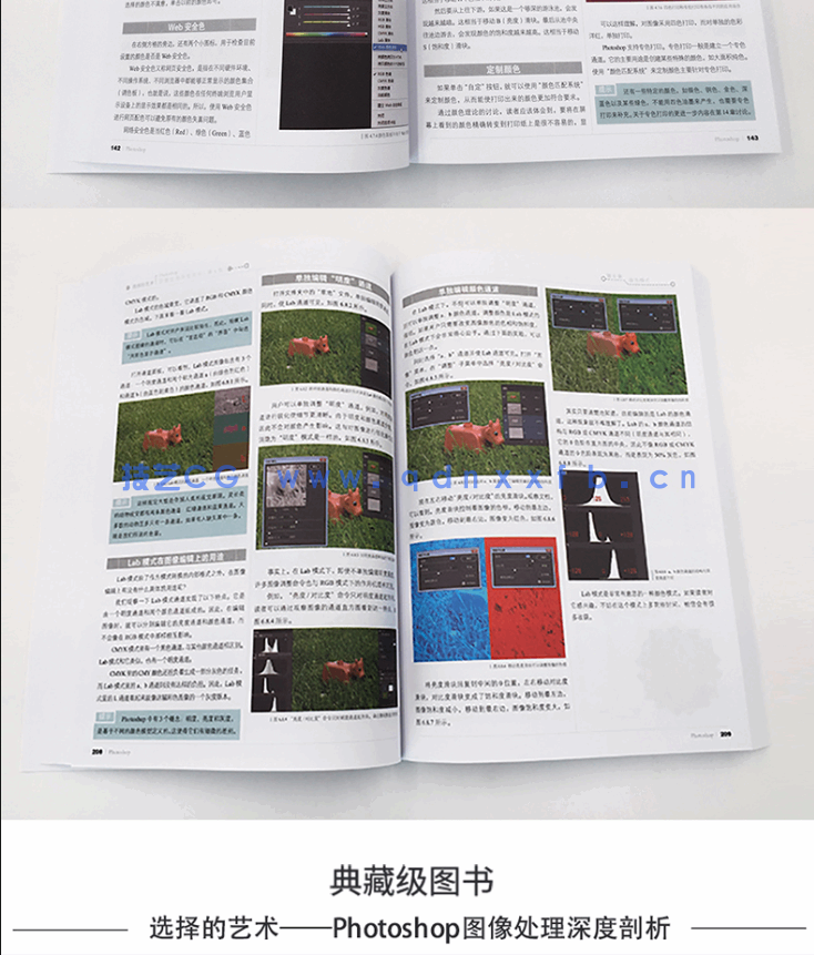 选择的艺术：Photoshop图像处理深度剖析（第4版）(图9)